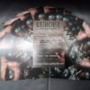 Europa The Last Battle - Blu-Ray 28 Languages + Bonus Part 11 + Flyers - Image 5